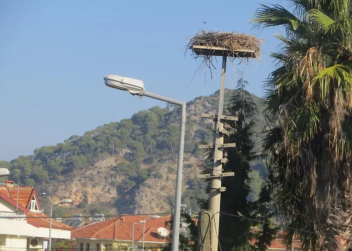 Villasevval-sleeps8-pool-bbq-ac-near Centre Вилла *